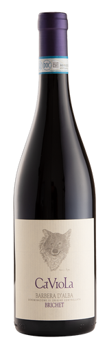 barbera d'alba doc brichet ca' viola 2022 cl 75