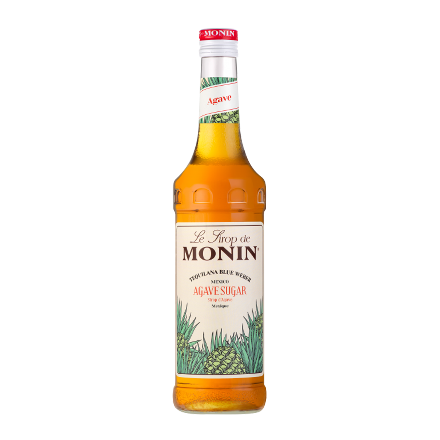 monin sciroppo agave