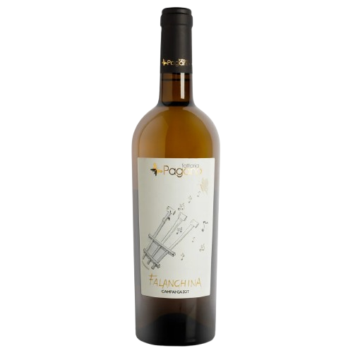 fattoria pagano campania falanghina igt 2019
