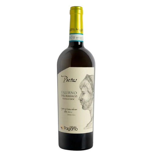 fattoria pagano falerno del massico pectus